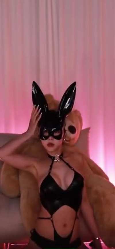 How to become a teddy bear (Shasa)