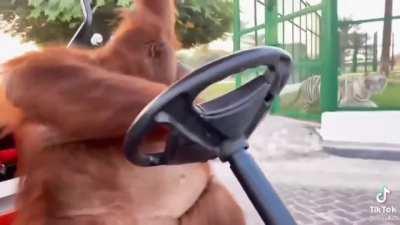 IT'S 9AM, YOU'RE IN WARSAW TAKING AN UBER TO WORK AND YOUR DRIVER IS UKRAINIAN (HE'S DRUNK BTW) 🤢🤢🤢