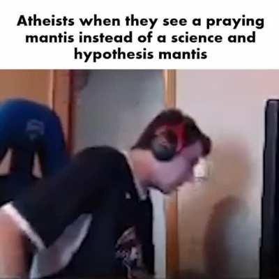 Just let the mantis pray bruh