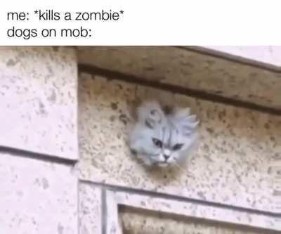 every time I play mob