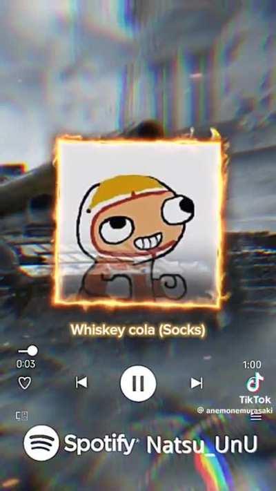 Socks sings whiskey cola