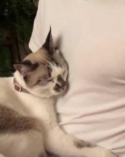 What is wrong with this human?!