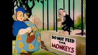 Do not feed the monkeys