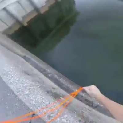 This guy's bowfishing skills