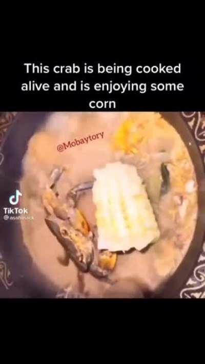 Last meal before death