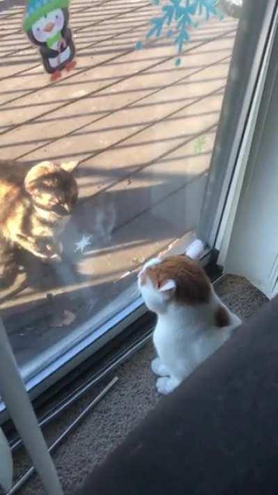 No babe just don’t!!