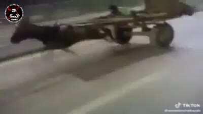 Droga é o Brian 🙄