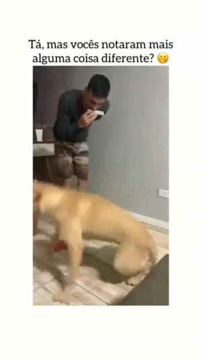 nao sei se acho fofo ou se fico com dó