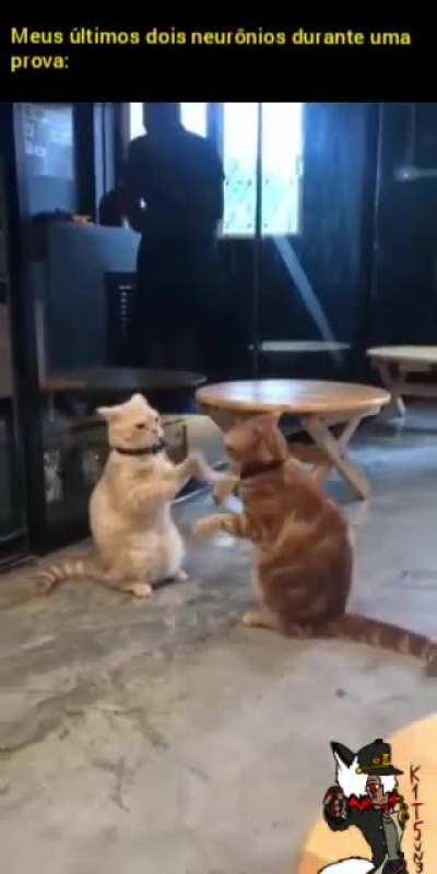 O título foi ejetado