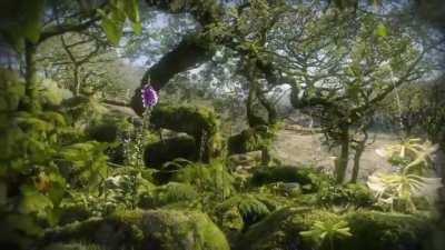 This took two years to film