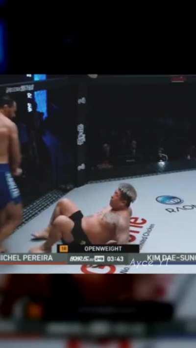 Michel Pereira but with Mario noises