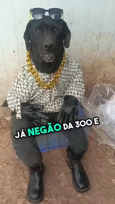 Conheça a gangue do Cleitinho Fubá
