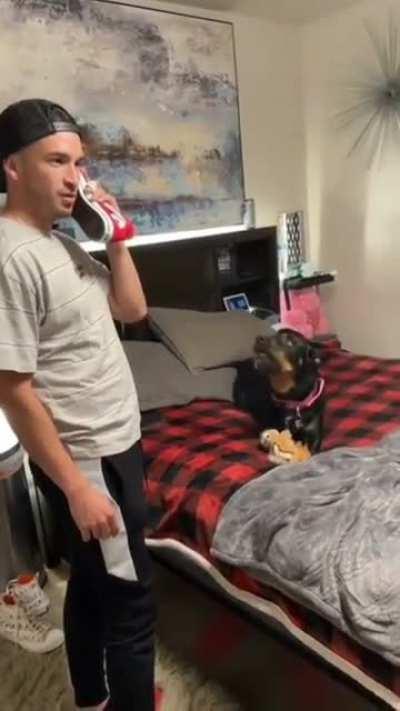 Dog really hates the vet