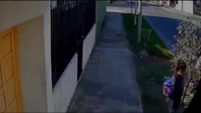 La Matanza: Delincuentes salieron a robar con una criatura y se llevaron un auto