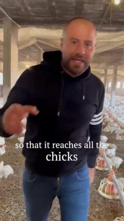 I feel kind of bad but I would still eat them