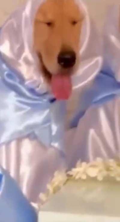 When they force you to participate in the play