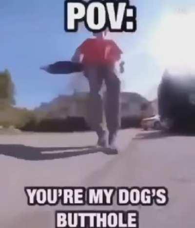 I have hundreds of dead bodies in my attic.