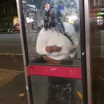 Shitten in a phone box
