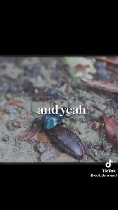 She said the word !?!?