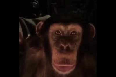 Who's toes are those?