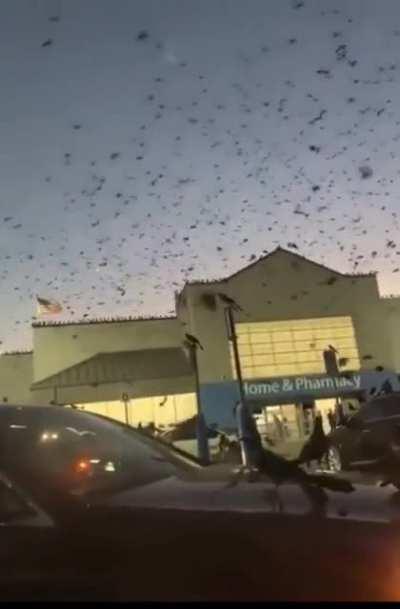 Pov: You’re trapped in Itachi’s genjutsu while at Walmart 👁👁