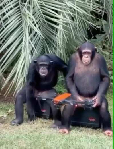 New Etienne gameplay leaked