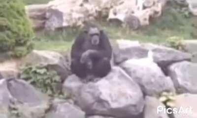 Pero pero pero 😳 nazi