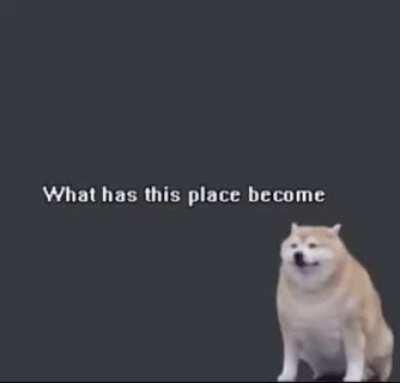 Imagine having an upload schedule