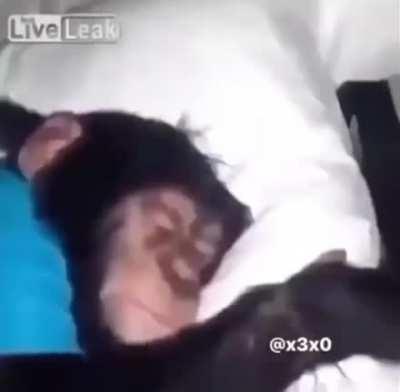 Puh cuando tenga novia