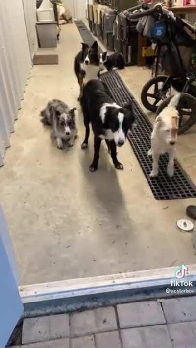 Name recognition demonstration.