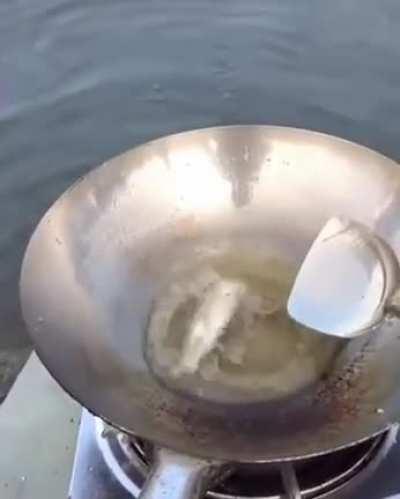 we do a little fishing