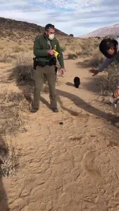 Park ranger in New Mexico tases a Navajo marine walking his dog. Full story in comments.