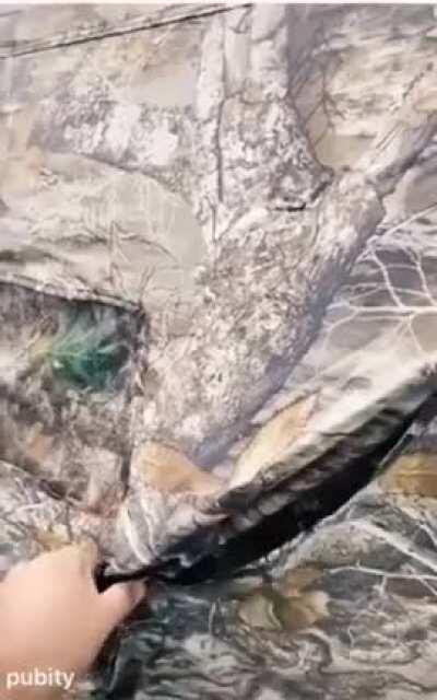 How do you like your walls?