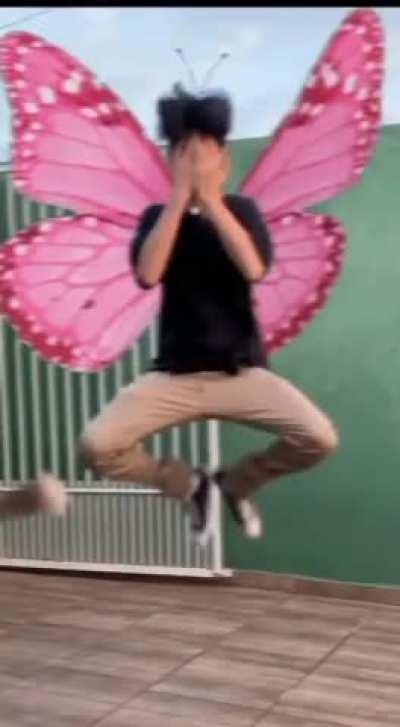 DoglaREDDIT - Video #5415