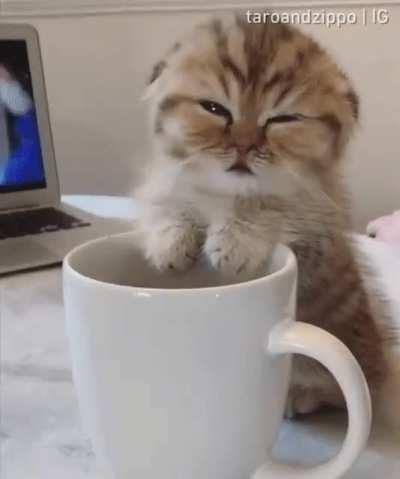 Good Morning, but still iam getting sleep