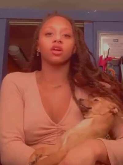 Pooch found the edibles.