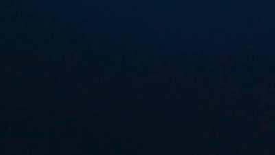 I flew 22 hours to swim with THE apex predator of the ocean (OC)