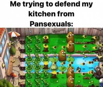 Protect the pans