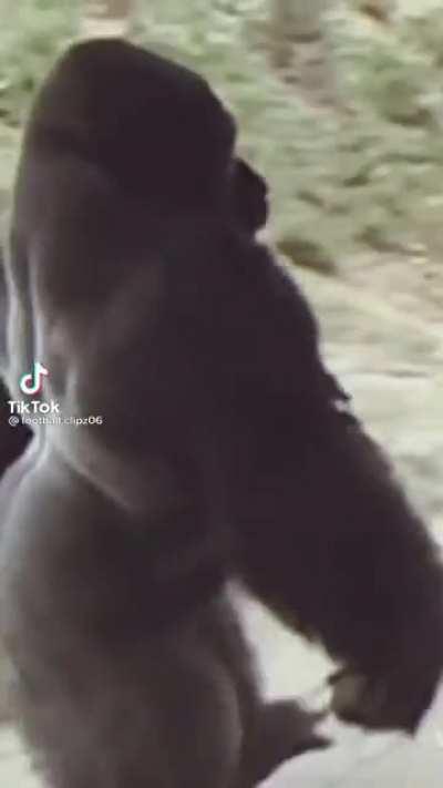 I’m lovin these memes