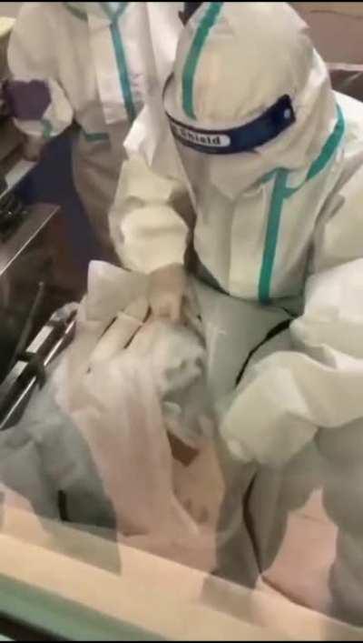 dude gets covid and dies from it after getting kissed by a singer in a restaurant (restaurant boss 隆城餐馆) in a wedding dinner in JB.