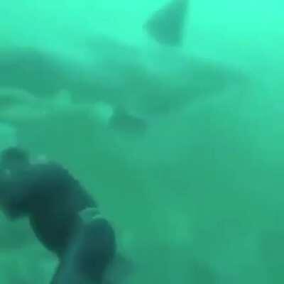 Time to find a new hobby