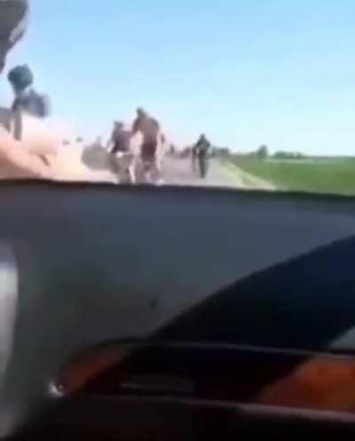 These aren't cats or dogs