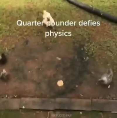 quarter Mcmario cart