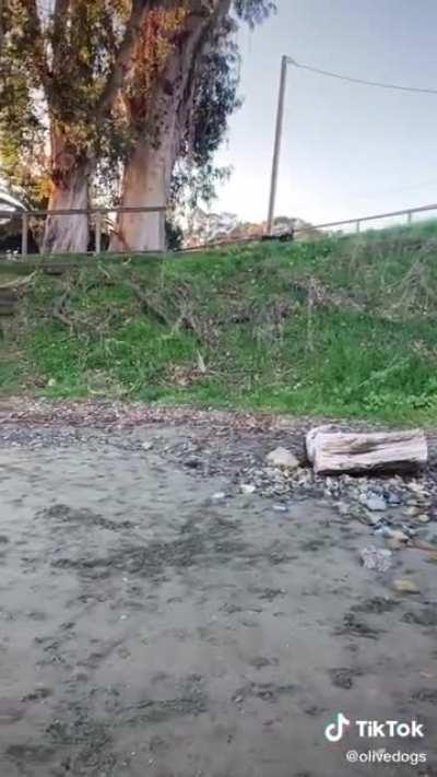 Look how happy they are