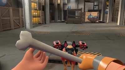 [SFM] Basic Guard Dog concept demonstration (More ideas coming soon)