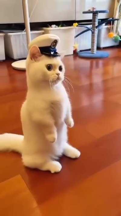 Munchkin the sailor.