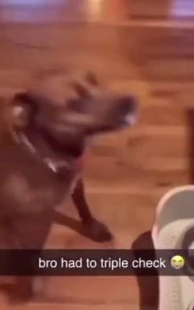 He was flabbergasted! 