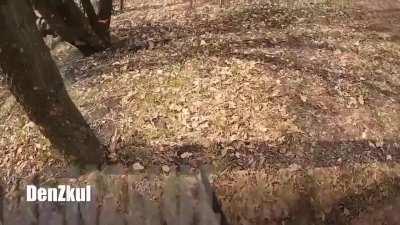 Footage of Russian troops using old Mosin-Nagants in action