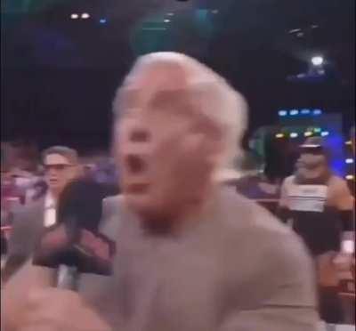 When your dog sees another dog on a walk