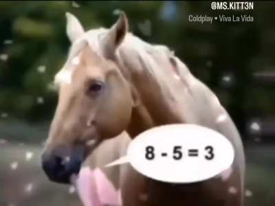 Math honse